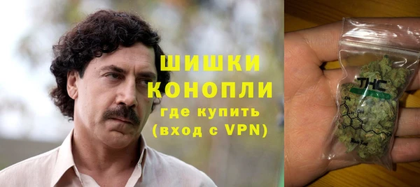 ПСИЛОЦИБИНОВЫЕ ГРИБЫ Гусь-Хрустальный