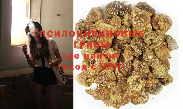 ПСИЛОЦИБИНОВЫЕ ГРИБЫ Гусь-Хрустальный