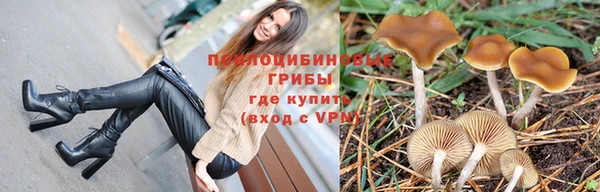 синтетический гашиш Гусиноозёрск