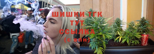 ПСИЛОЦИБИНОВЫЕ ГРИБЫ Гусь-Хрустальный